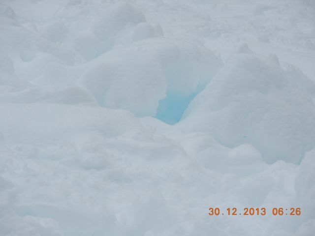 DSCN2535