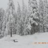 DSCN2362