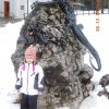 DSCN2340