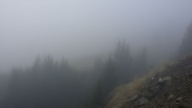IMG 1417346506093 V