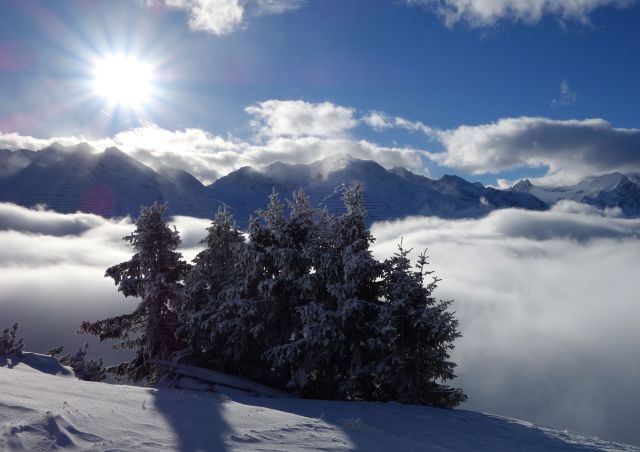DSC01013а