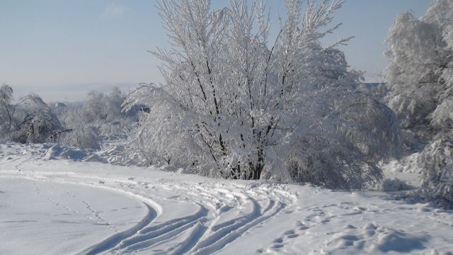 DSC00590