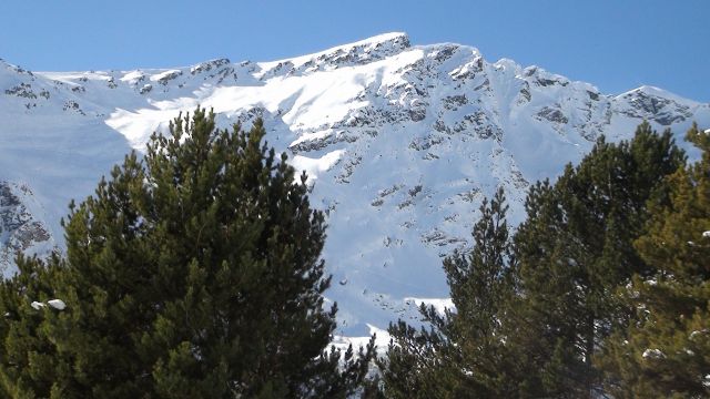 DSC00607