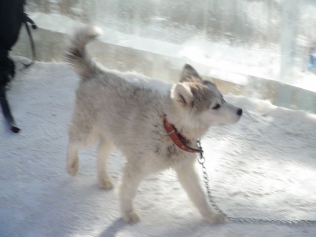 DSC00645.JPG