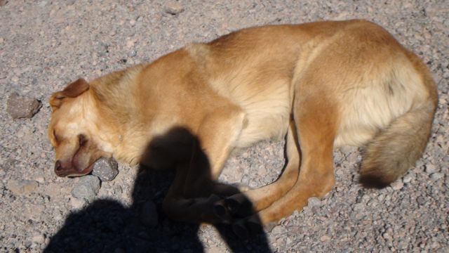 DSC00635.JPG
