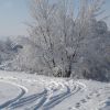 DSC00590