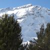DSC00607