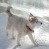 DSC00645.JPG