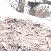 DSC00619