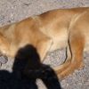 DSC00635.JPG