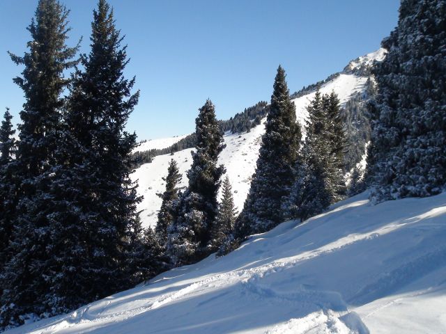 DSC00696