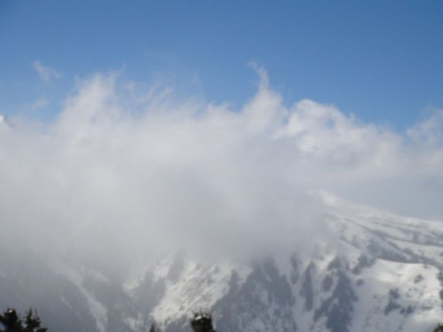 DSC00708