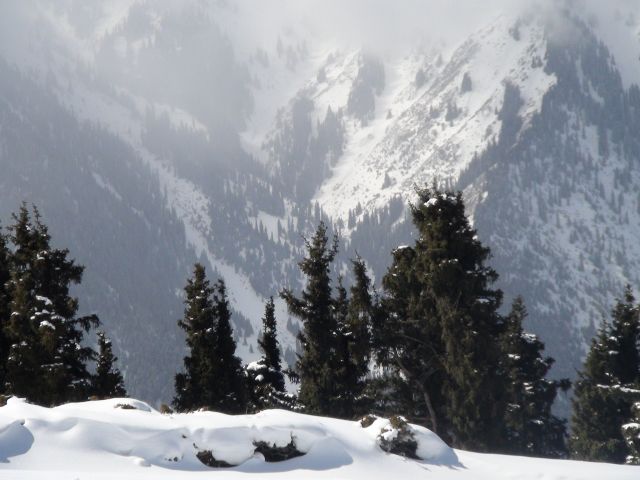 DSC00717