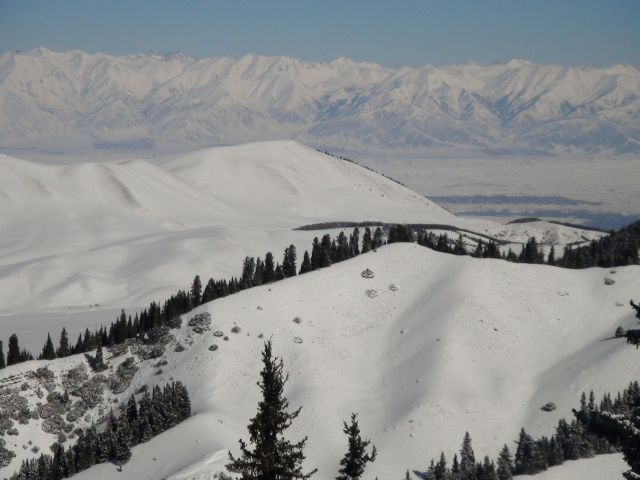 DSC00698
