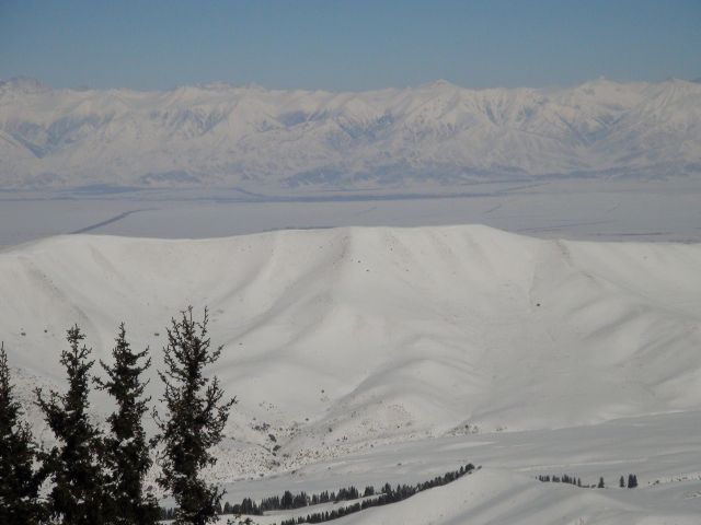DSC00699