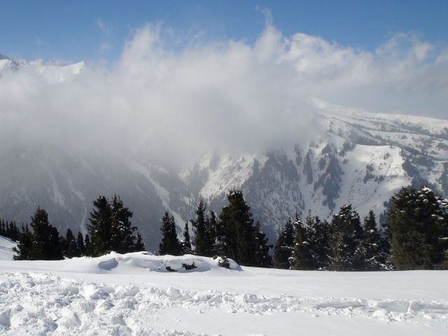 DSC00709