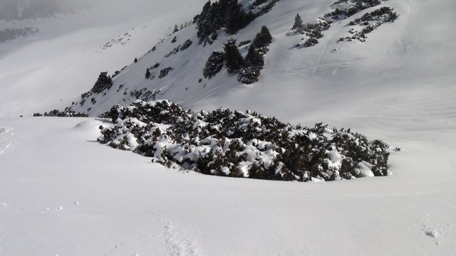 DSC00721