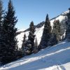 DSC00696