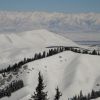 DSC00698