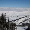 DSC00695