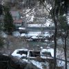 DSC00777