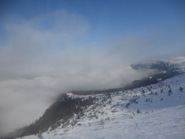 DSC01031