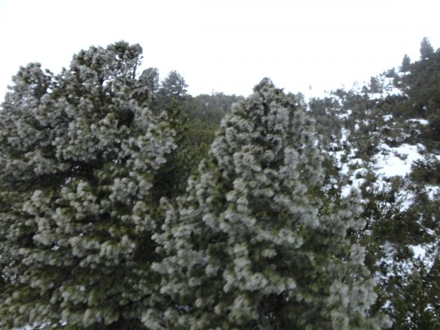 DSC00997