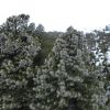 DSC00997