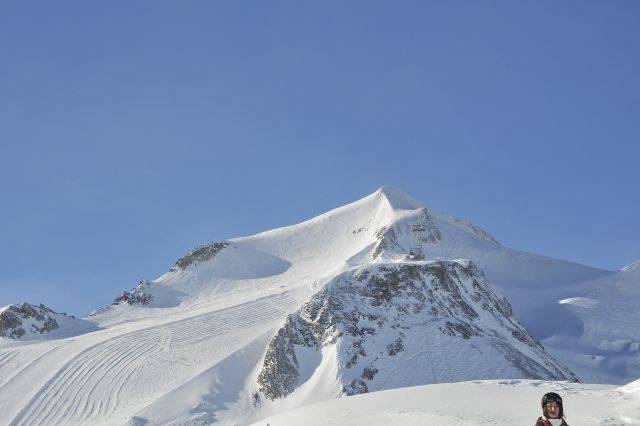 DSC1439
