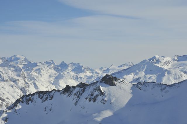 DSC1435