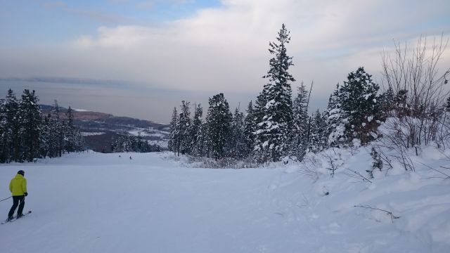 DSC 3569