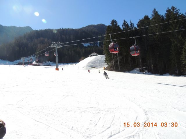 DSCN3603