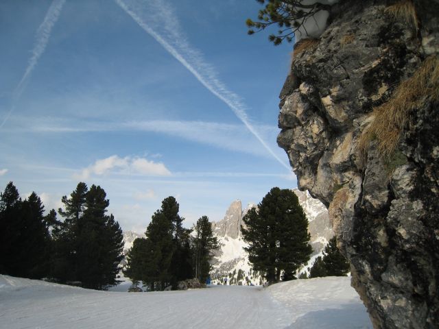 IMG 7537