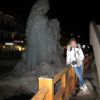 IMG 7382