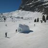 IMG 7508