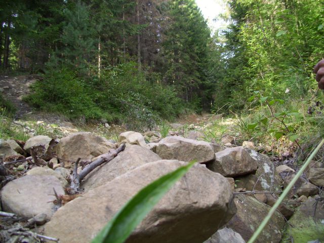 635.JPG