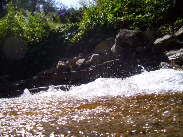 655.JPG
