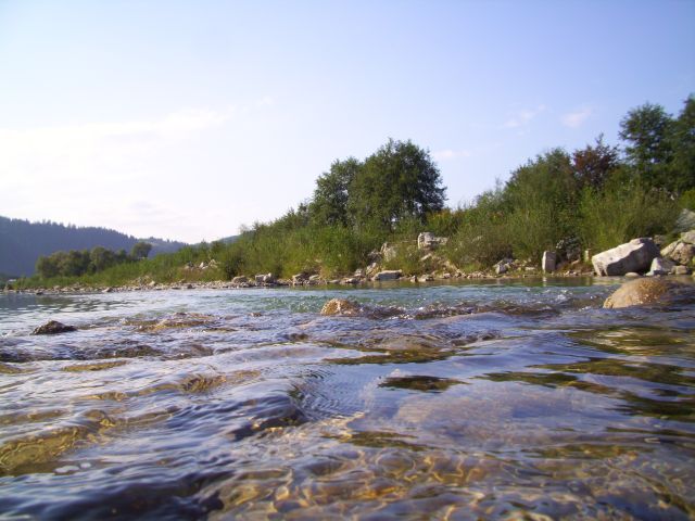668.JPG