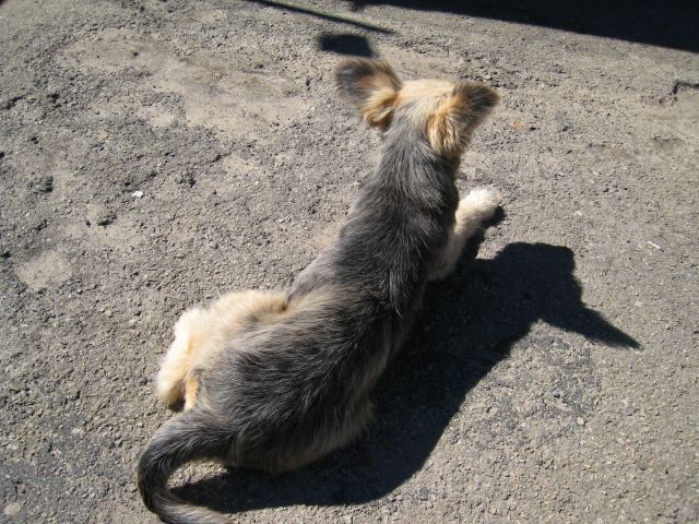 249.JPG
