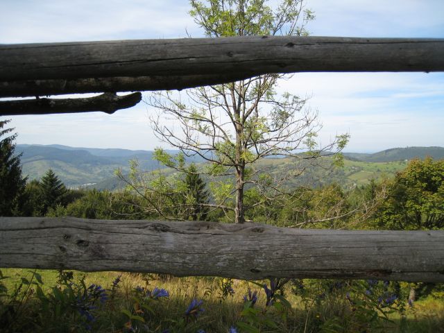 302.JPG