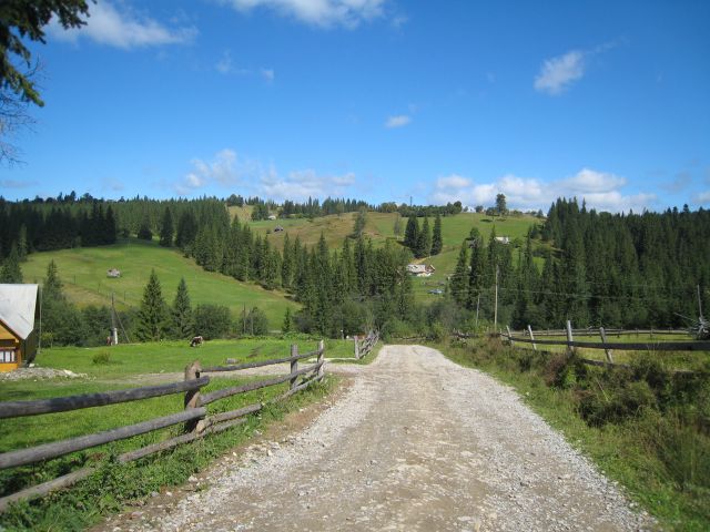 223.JPG