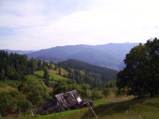 630.JPG