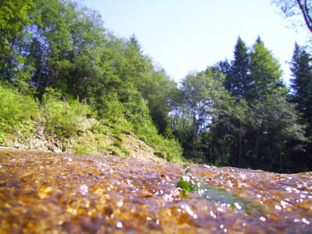 658.JPG