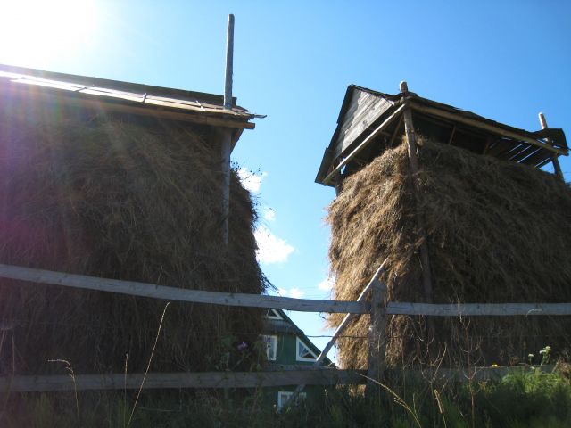 224.JPG