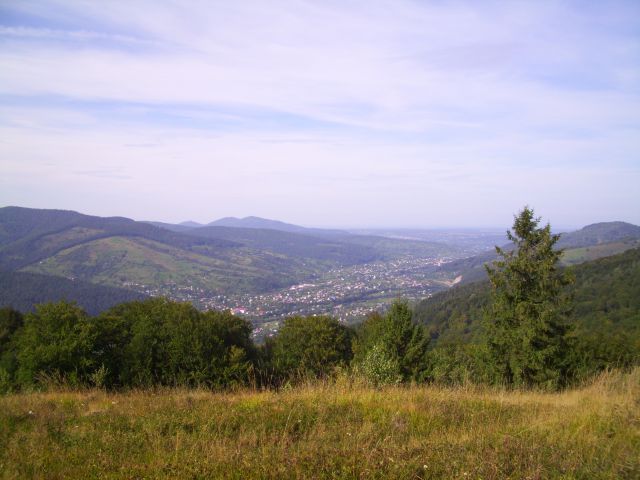 631.JPG