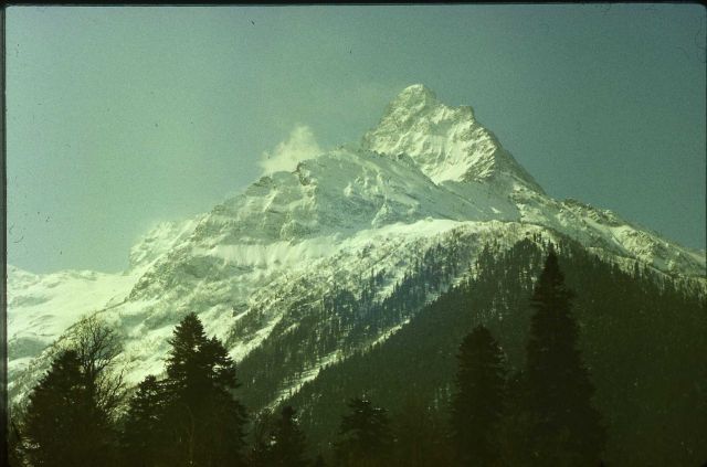 Белалакая.