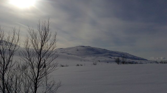 На Серебрянской дороге.
