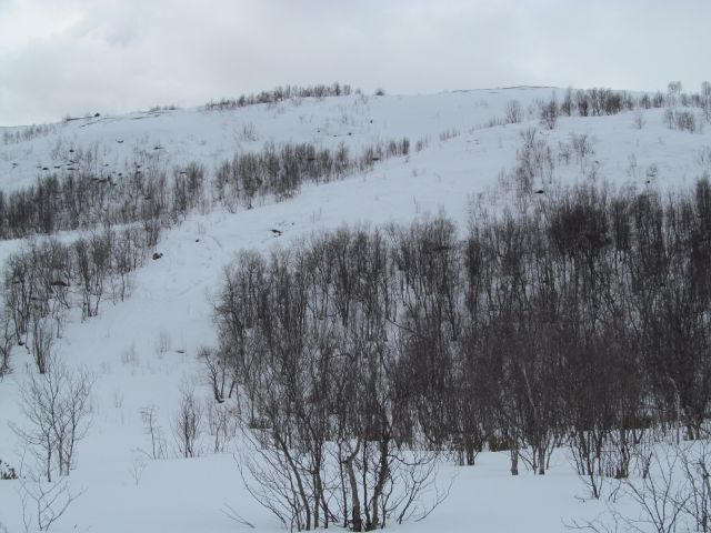 Мишуково.Мурманск через залив.