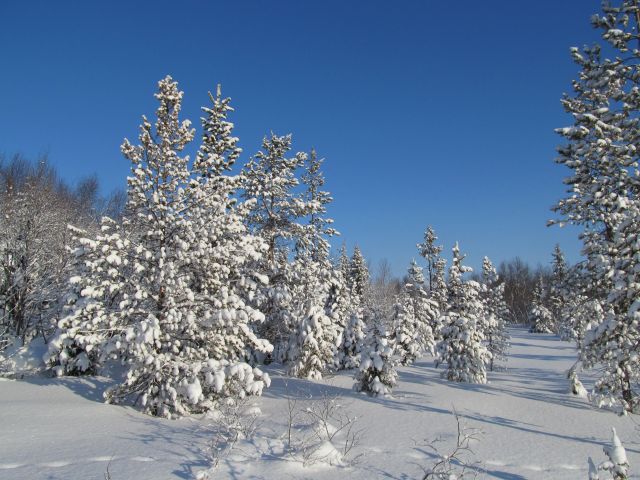 Комсомолка.