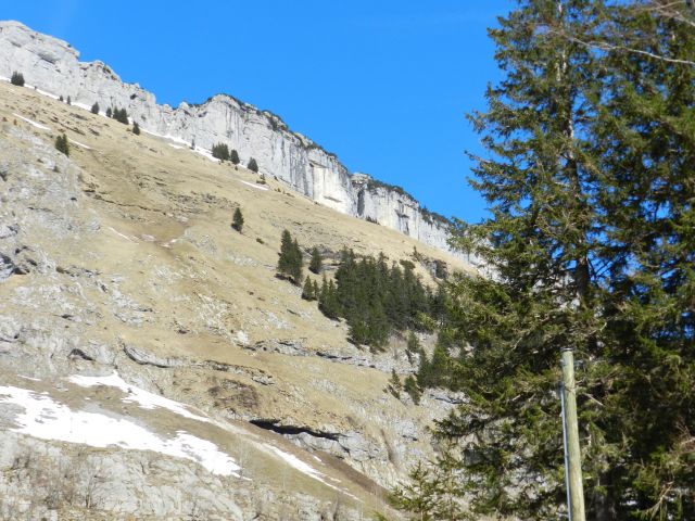 DSCN2876